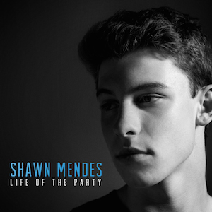 Life Of The Party By Shawn Mendes