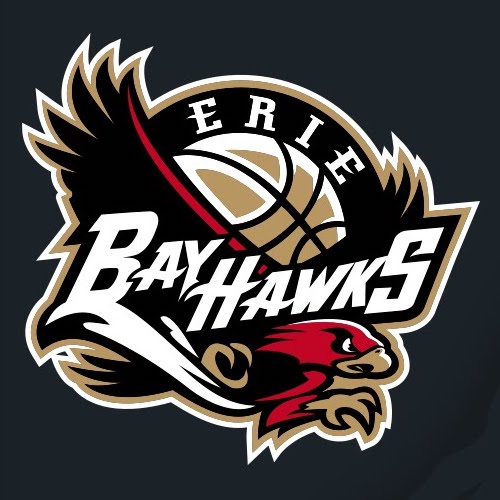 Erie Bayhawks Lyric Video