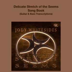 Delicate Stretch of the Seems Transcriptions Book