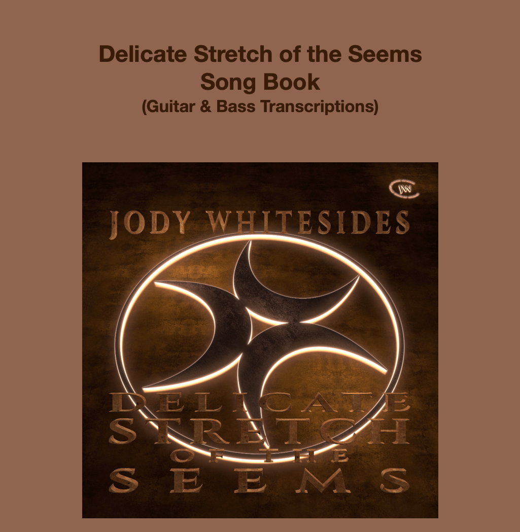 Delicate Stretch of the Seems Transcriptions Book